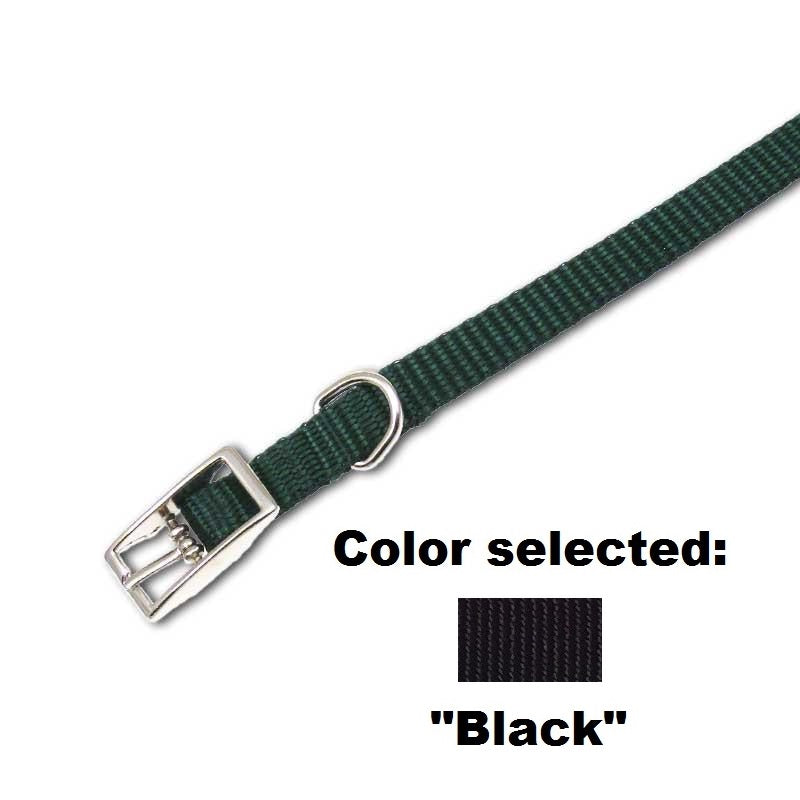 Traditional Collar - 3/8" Width, - Lucky Pet